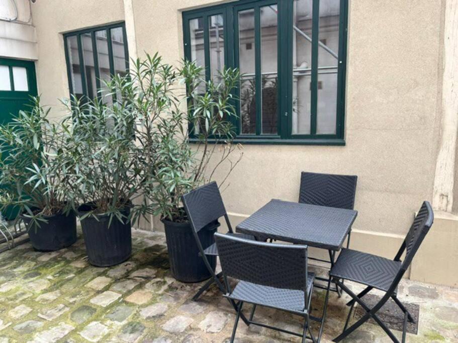 Magnifique Loft Avec Exterieur Apartment *